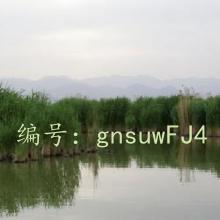 Ͻ
