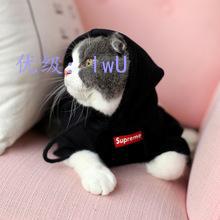 ѧϰ