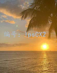 ѧϰ