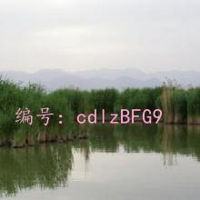 ѧϰ