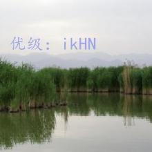 ڲ