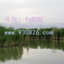 ǻ